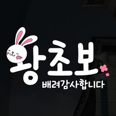 108 STUDIO 왕초보 초보운전 스티커 K30