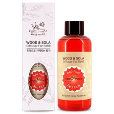 허브모아 우드 차량용 방향제 디퓨저, 1개, 레드프룻 리필100ml