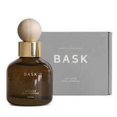 BASK 듀얼퍼포즈 실내겸용 차량용 디퓨저 100ml 본품