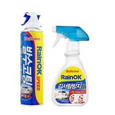불스원 레인OK 발수코팅제 380lm 1개 김서림방지 280ml 각1개씩