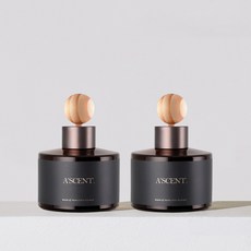 1+1 에이센트 네이처 차량용 디퓨저 방향제 120ml, 01 딥체리*2